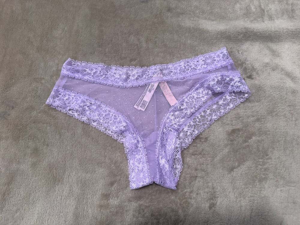 Victoria’s Secret Cheeky Lace Panty Size M NWT Sexy Sheer Bikini Underwear
